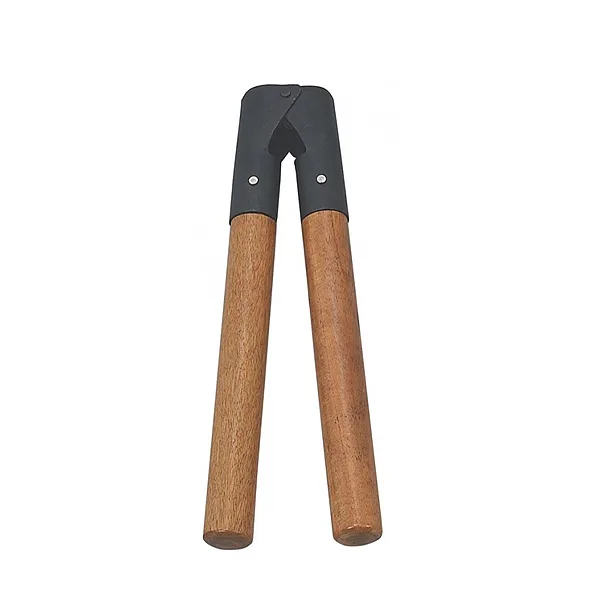 Barnes Dehorner surgical instrument by KAZ SKT