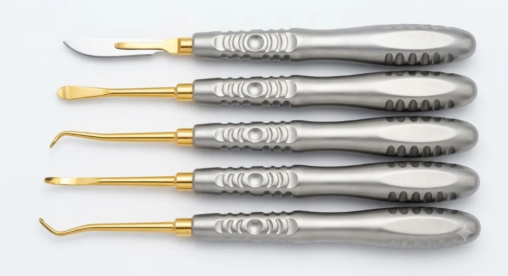 5-Piece Dental Surgical Elevator & Blade Set - KAZ SKT Surgical Industry