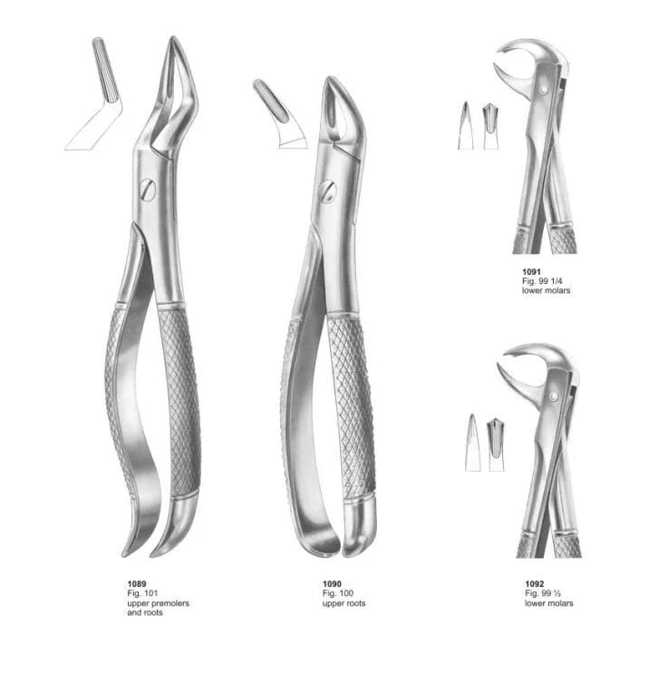 English Pattern Forcep surgical instrument by KAZ SKT
