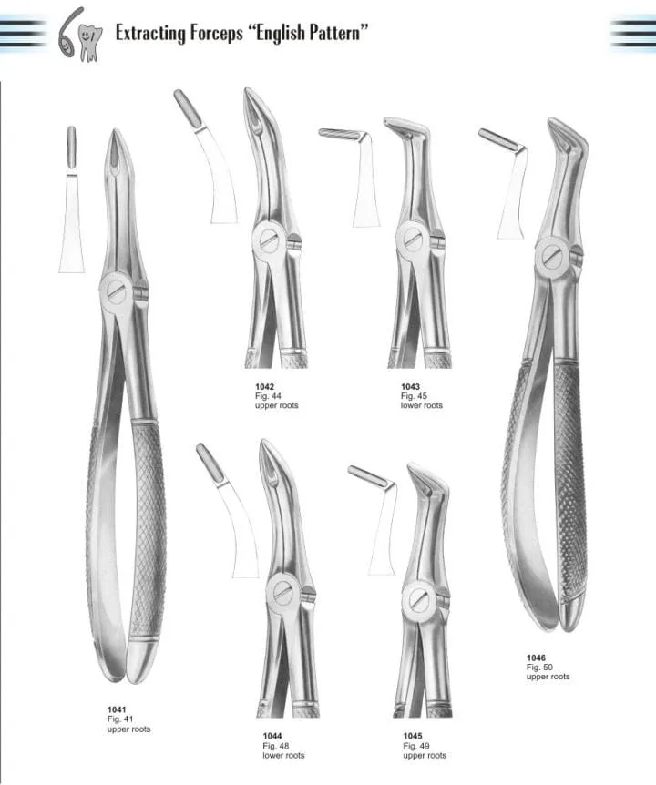 Extracting Forcep English Pattern surgical instrument by KAZ SKT